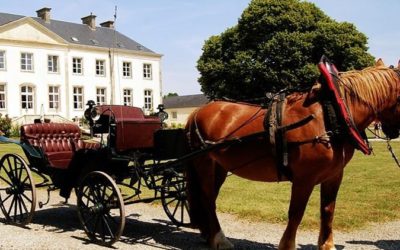 Promenades en calèche sur le domaine et autour du château de Quinéville