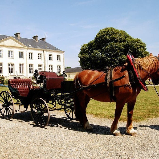 Promenades en calèche sur le domaine et autour du château de Quinéville