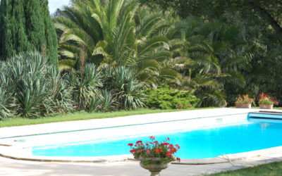 Ouverture de notre piscine du 1er juillet au 15 septembre 2023